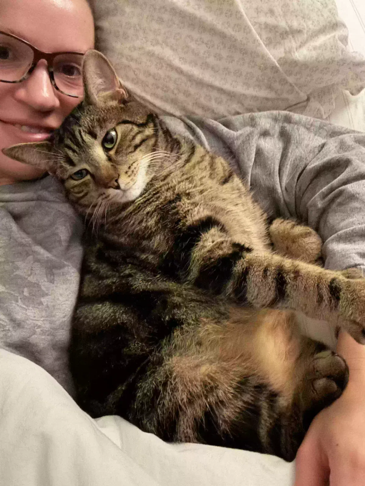 Lost cat in Waxhaw, NC, 28173