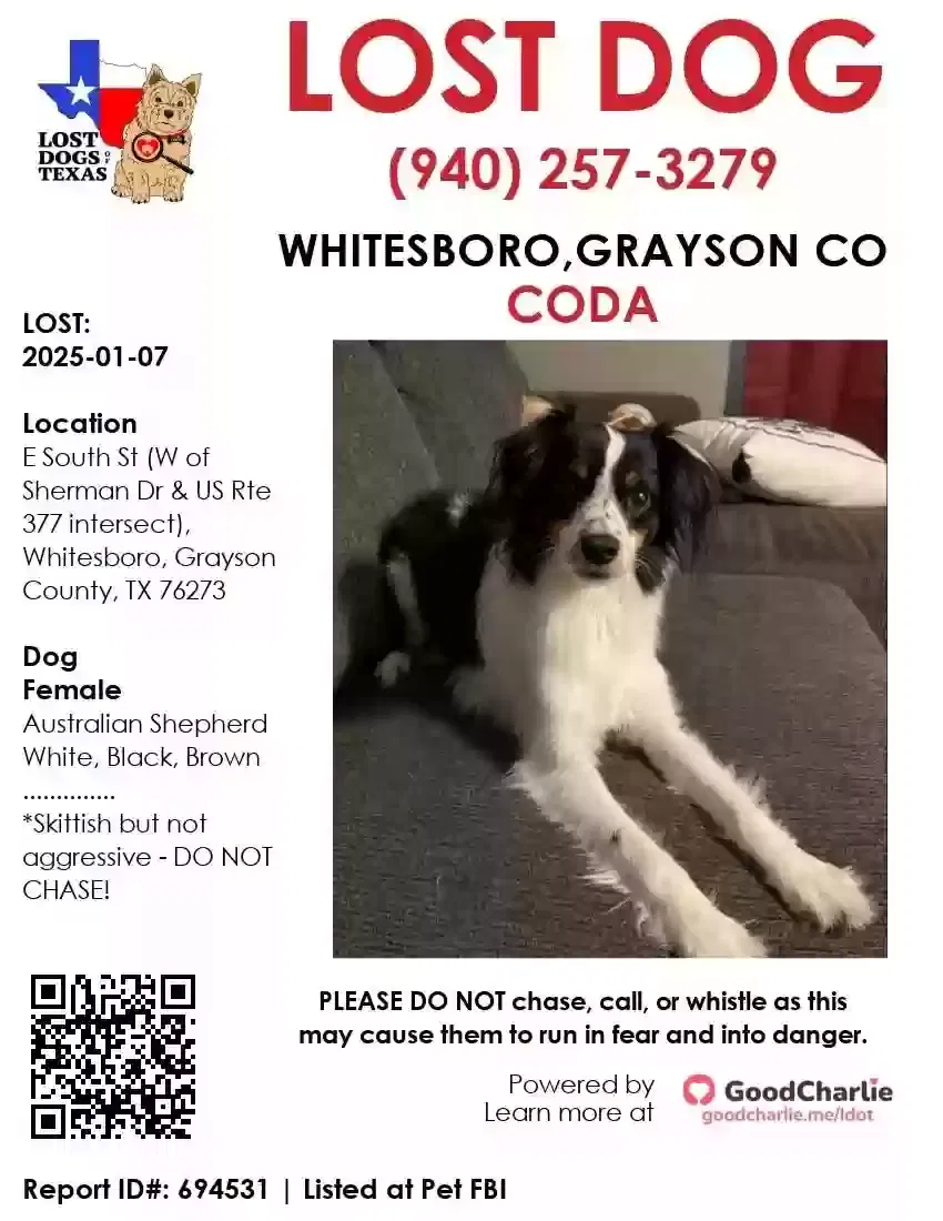 Lost dog in Whitesboro, TX, 76273
