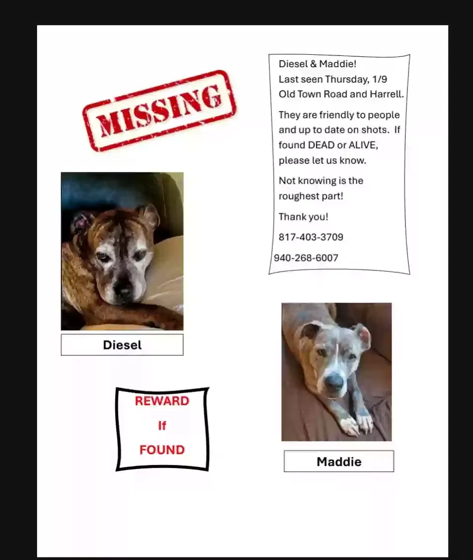 Lost dog in Thackerville, OK, 73459