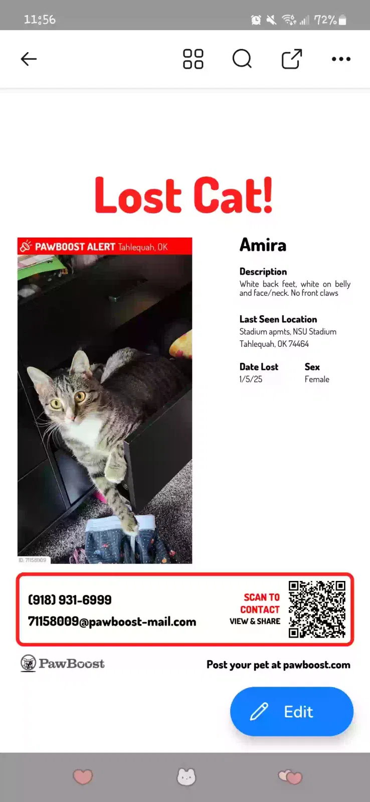Lost cat in Tahlequah, OK, 74464