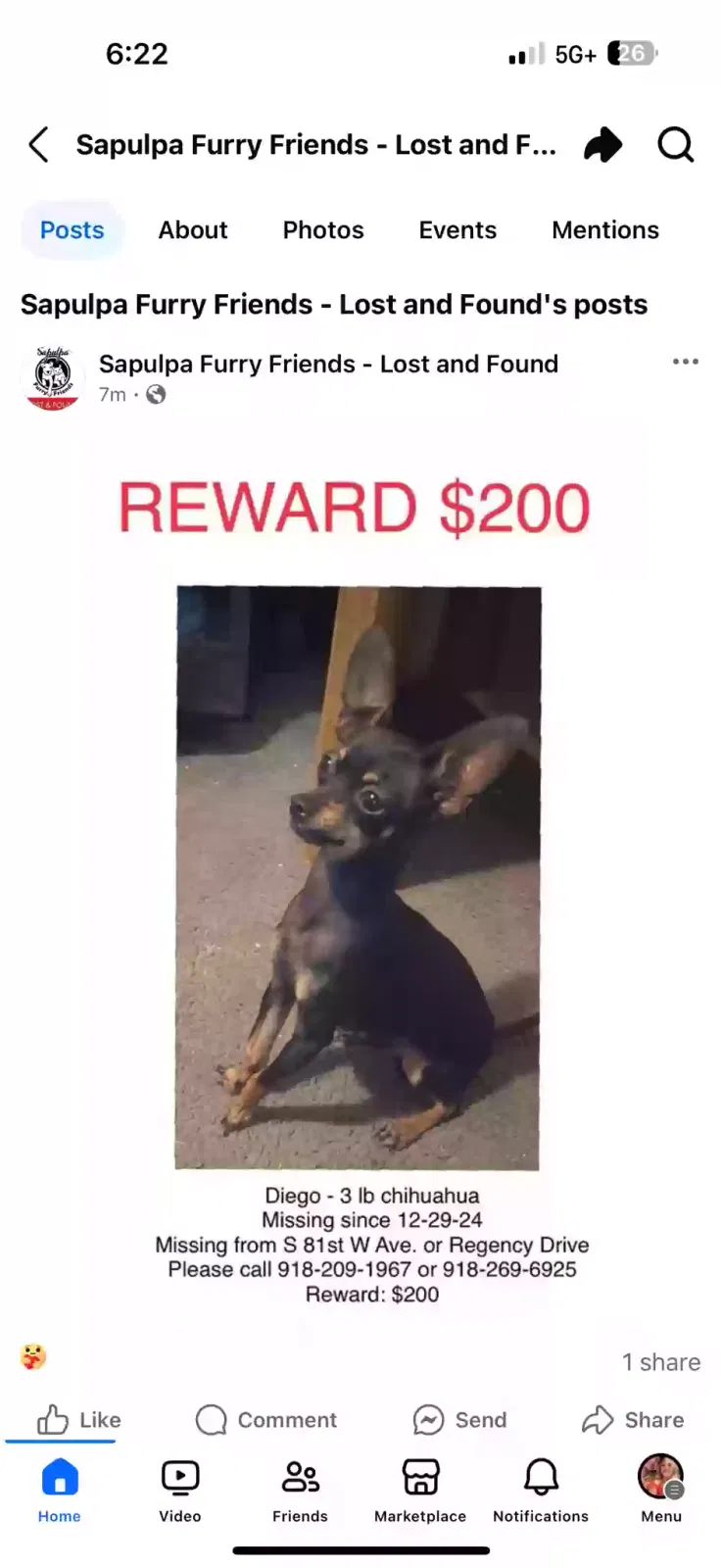 Lost dog in Tulsa, OK, 74131