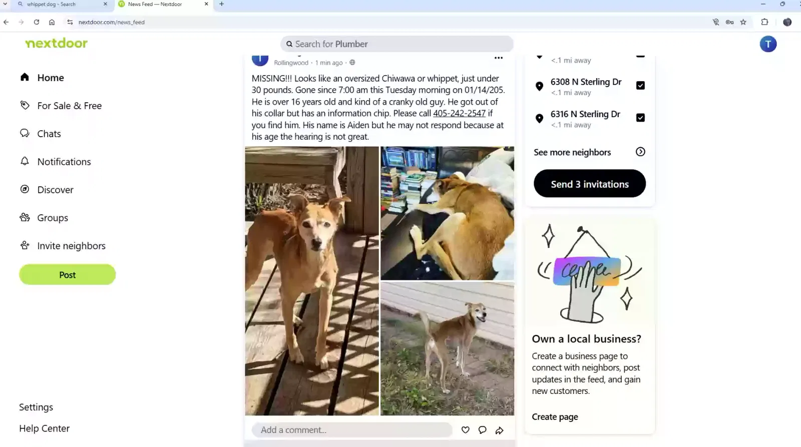 Lost dog in Oklahoma City, OK, 73122