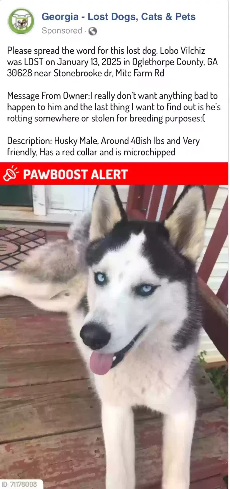 Lost dog in Colbert, GA, 30628
