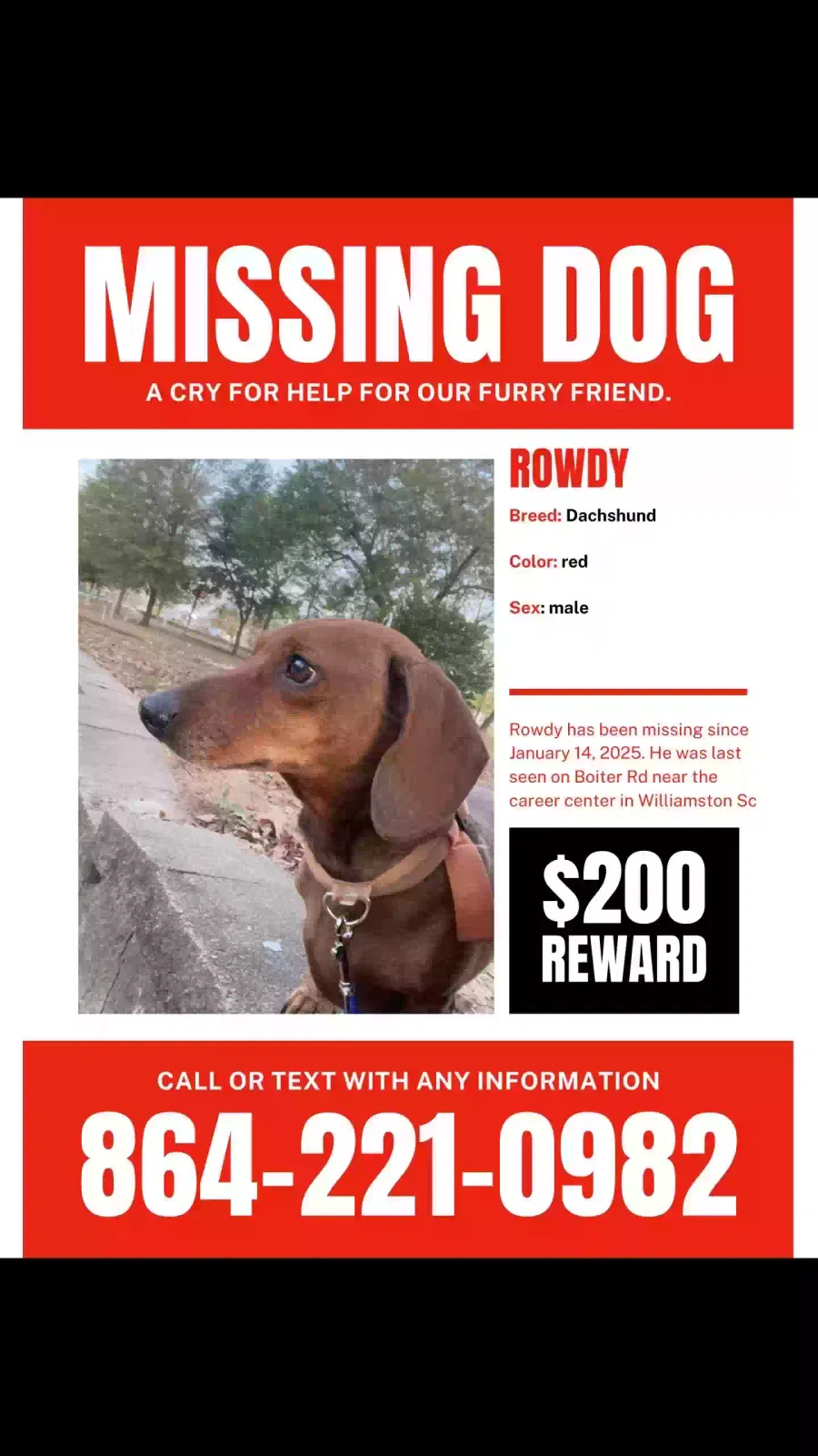 Lost dog in Williamston, SC, 29697