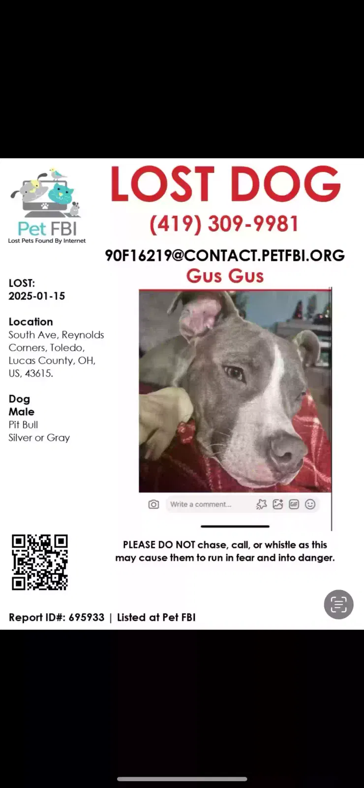 Lost dog in Toledo, OH, 43615