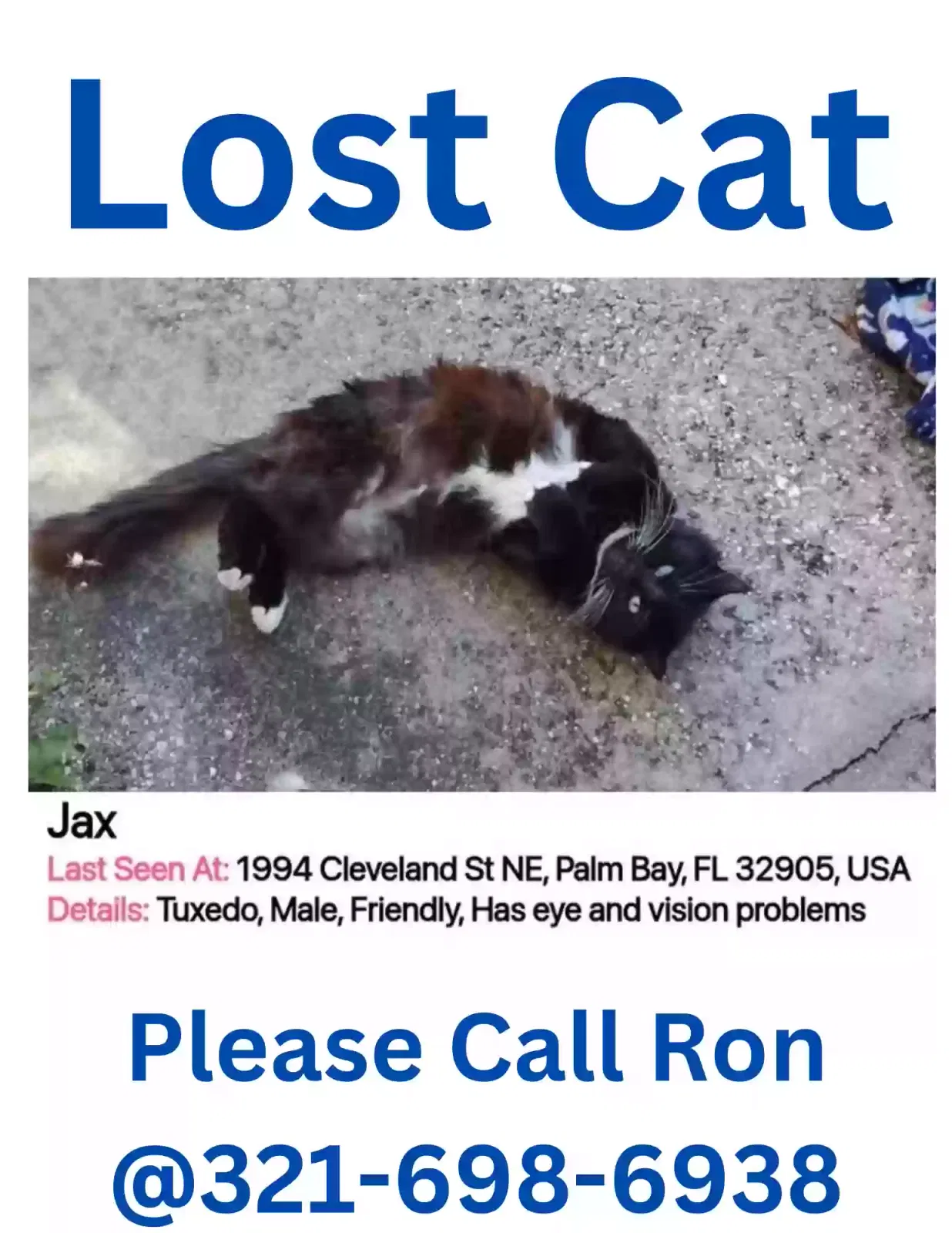 Lost cat in Palm Bay, FL, 32905
