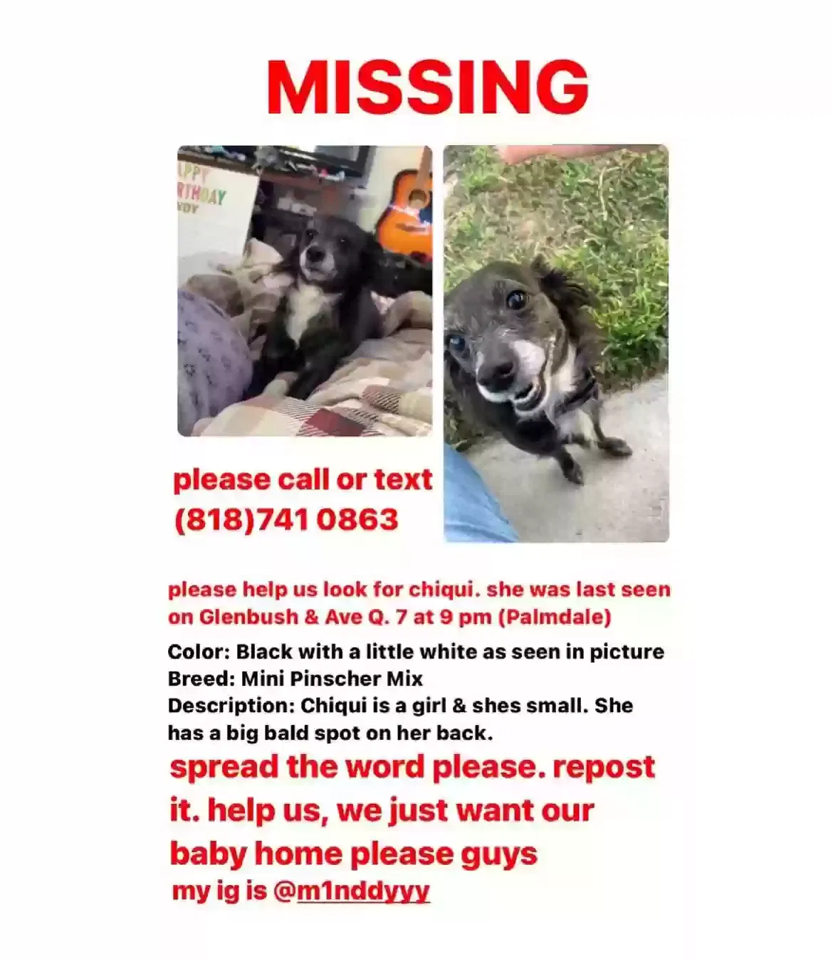 Lost dog in Palmdale, CA, 93550