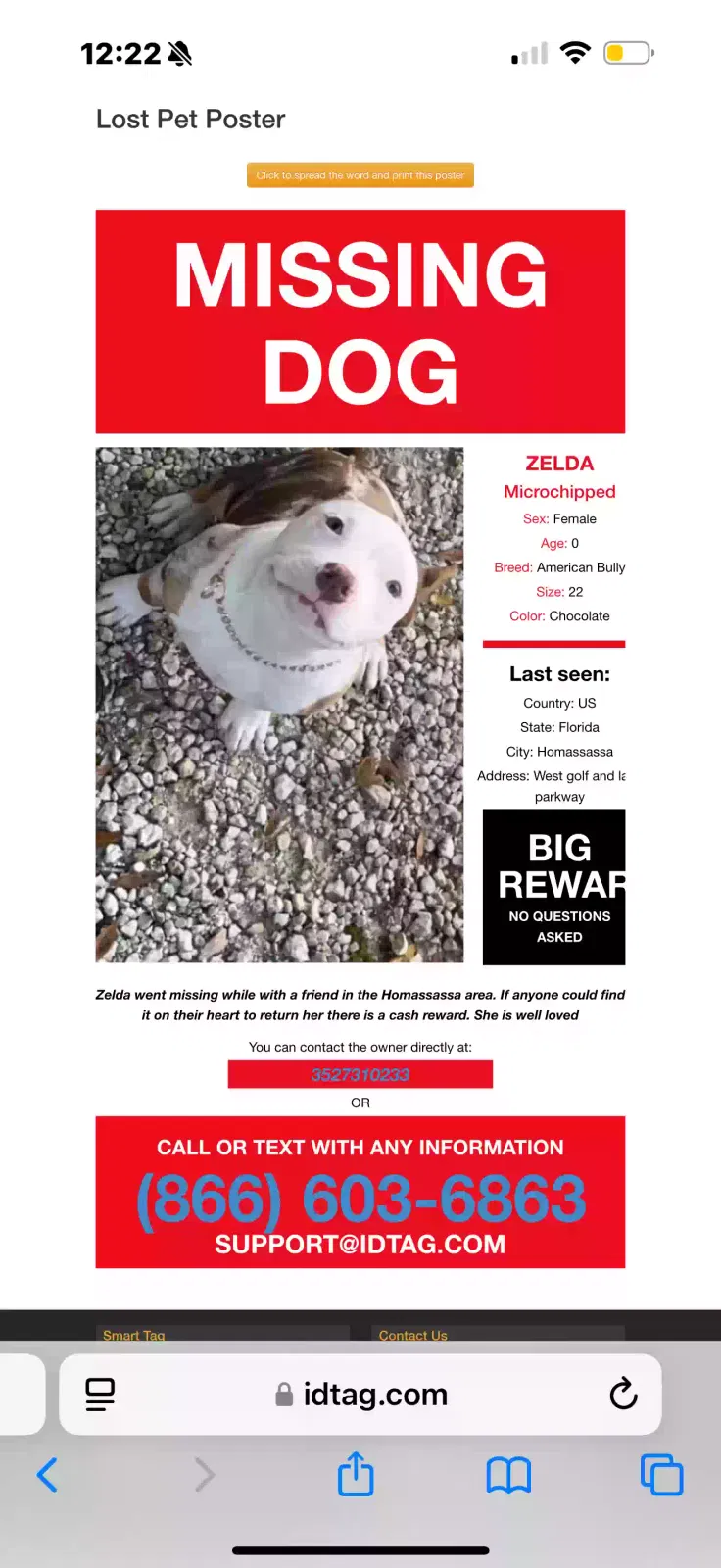 Lost dog in Homosassa, FL, 34446