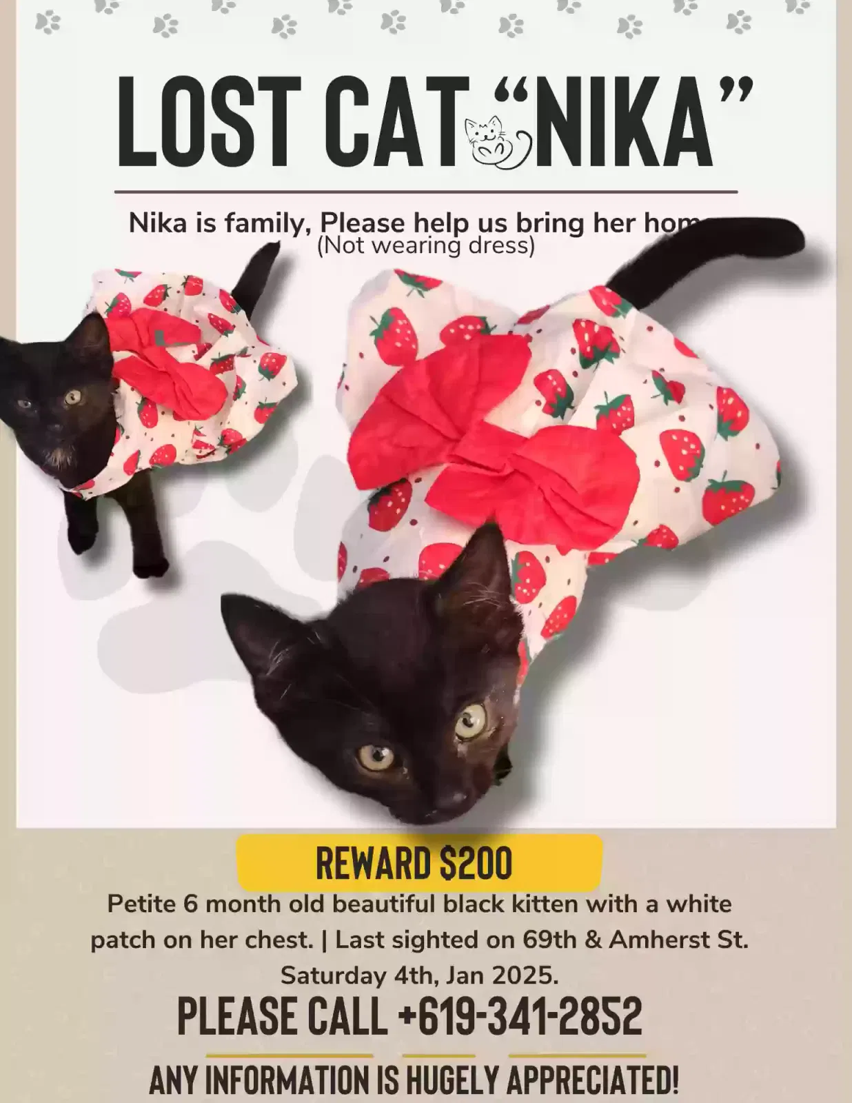 Lost cat in San Diego, CA, 92115