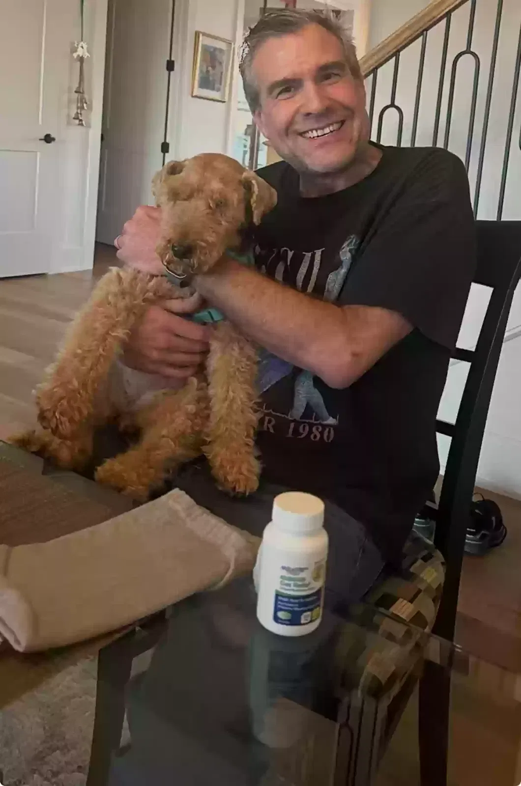Lost dog in Seymour, TN, 37865