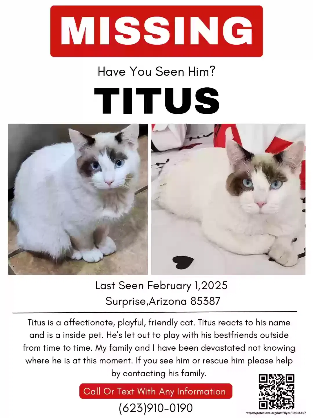 Lost cat in Surprise, AZ, 85387