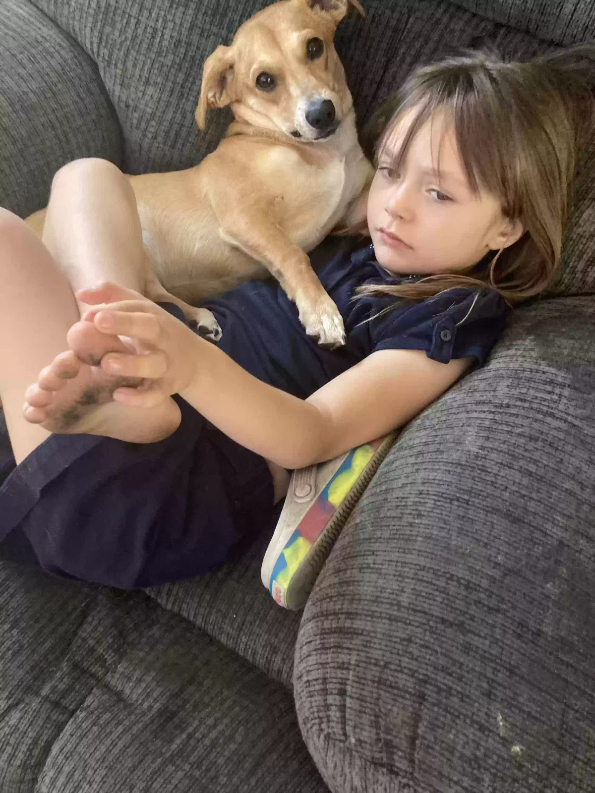 Lost dog in Vacaville, CA, 95688
