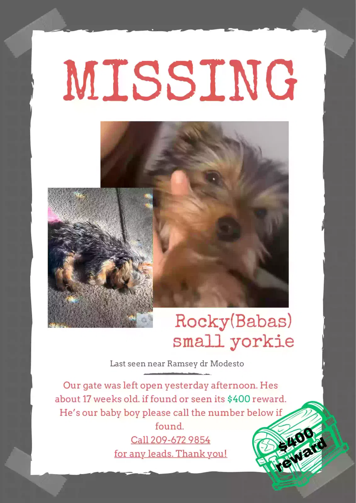 Lost dog in Modesto, CA, 95356