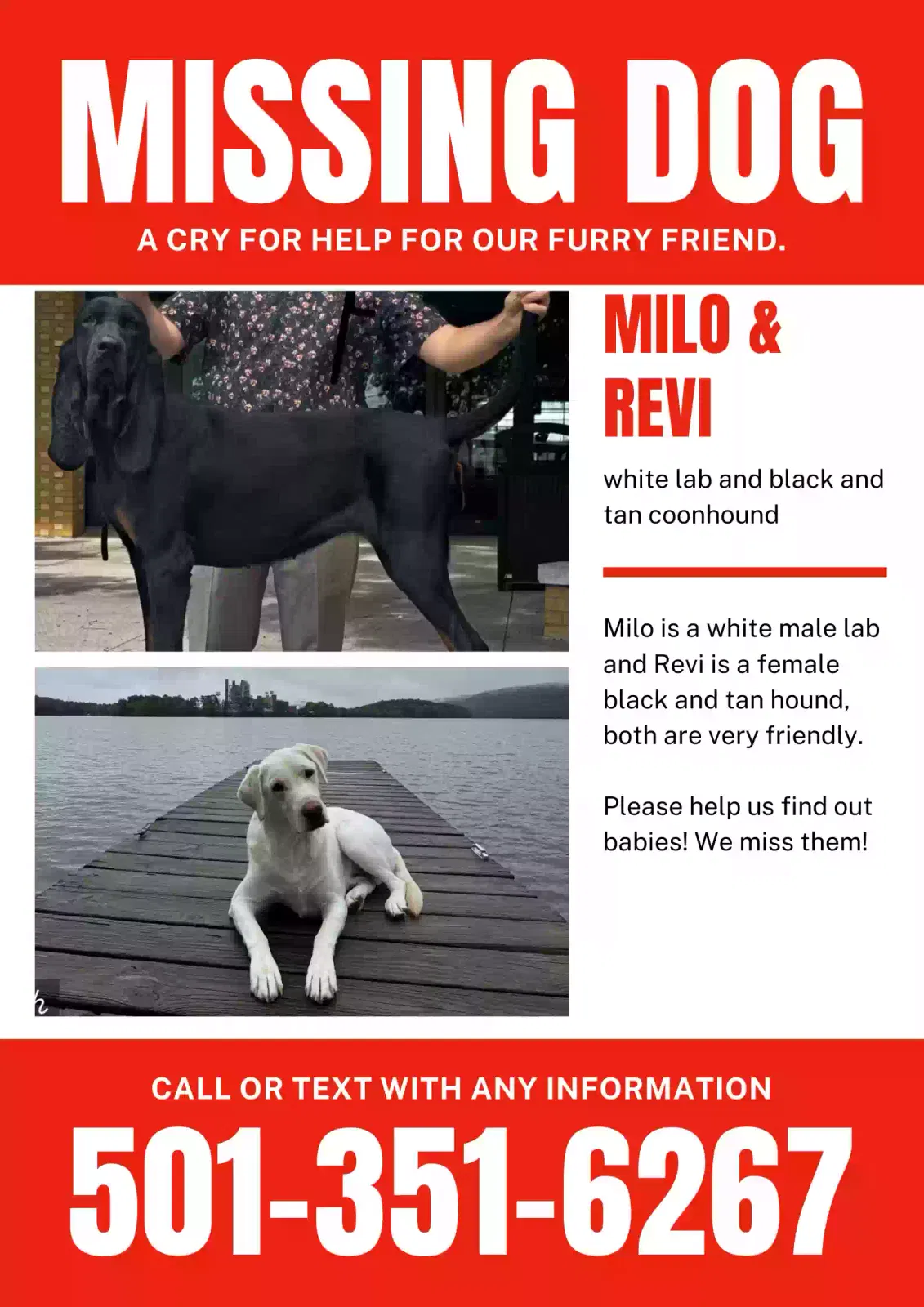 Lost dog in Benton, AR, 72015