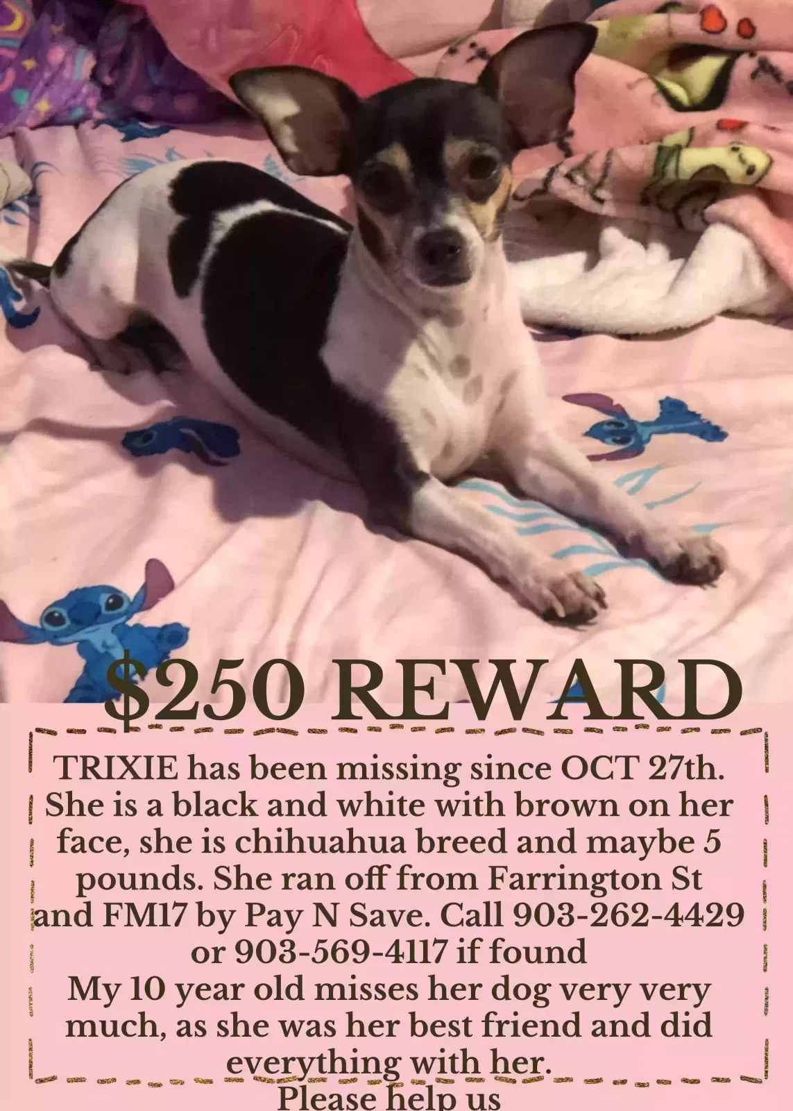 Lost dog in Alba, TX, 75410