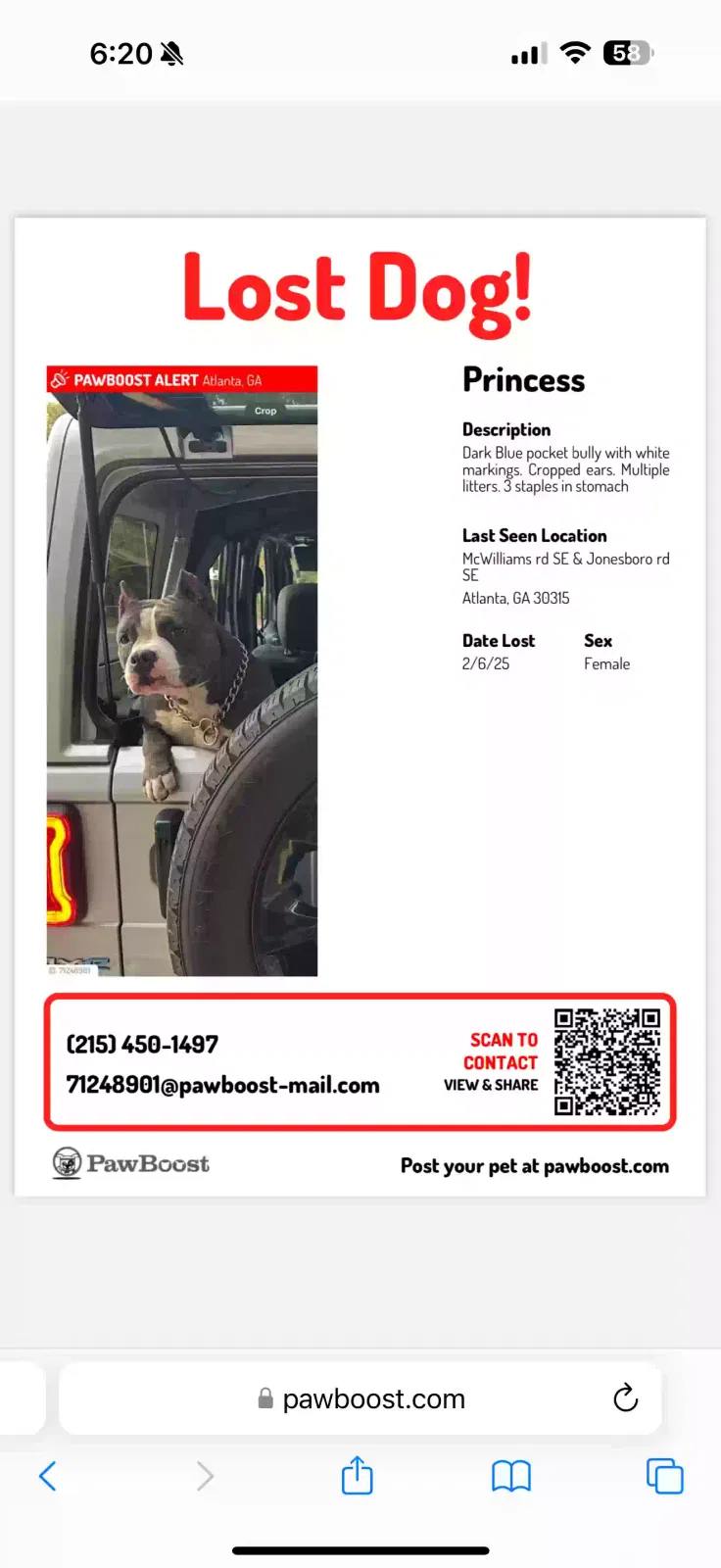 Lost dog in Atlanta, GA, 30315