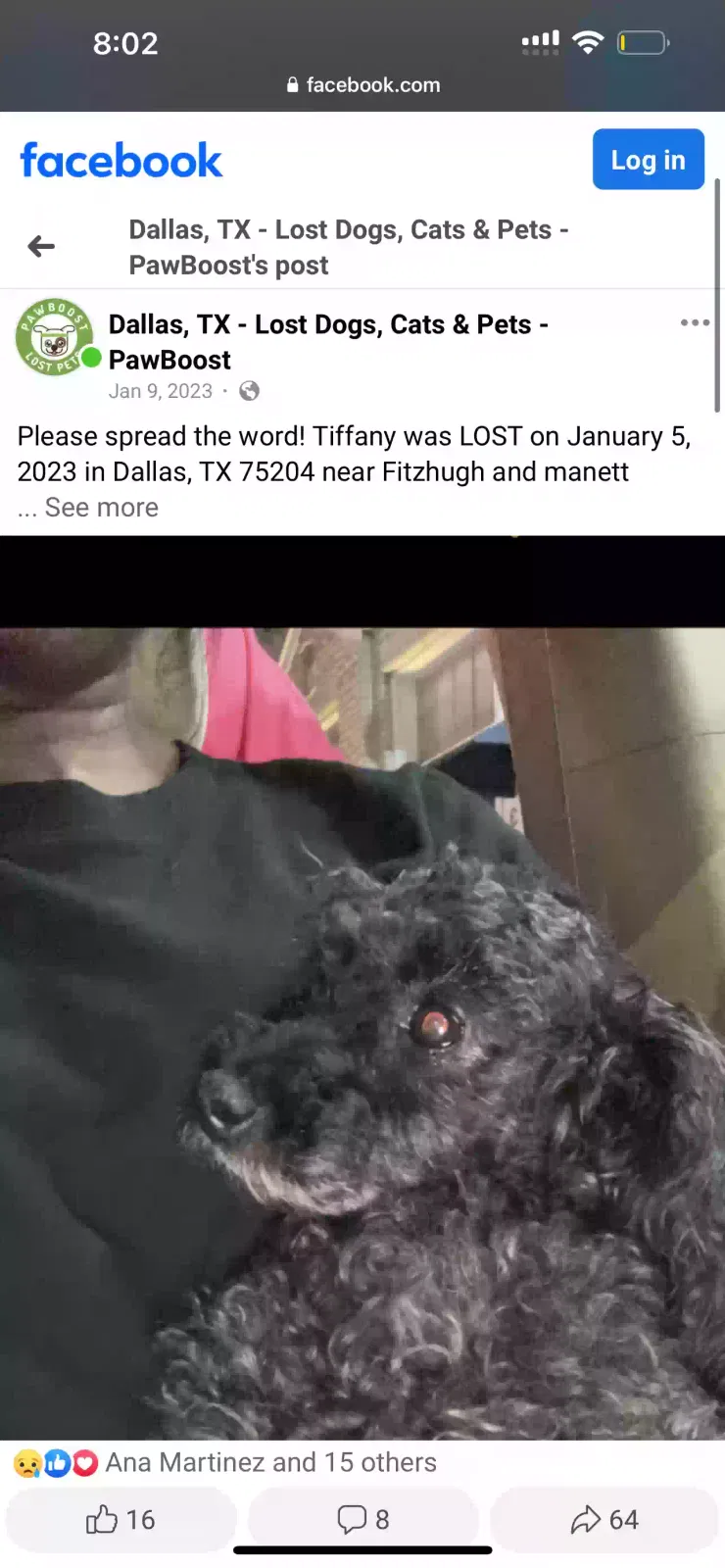 Lost dog in Dallas, TX, 75204