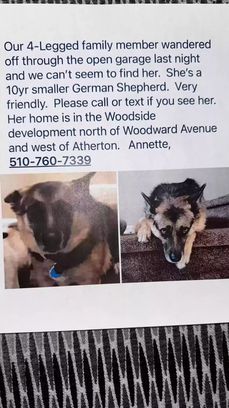 Lost dog in Manteca, CA, 95337