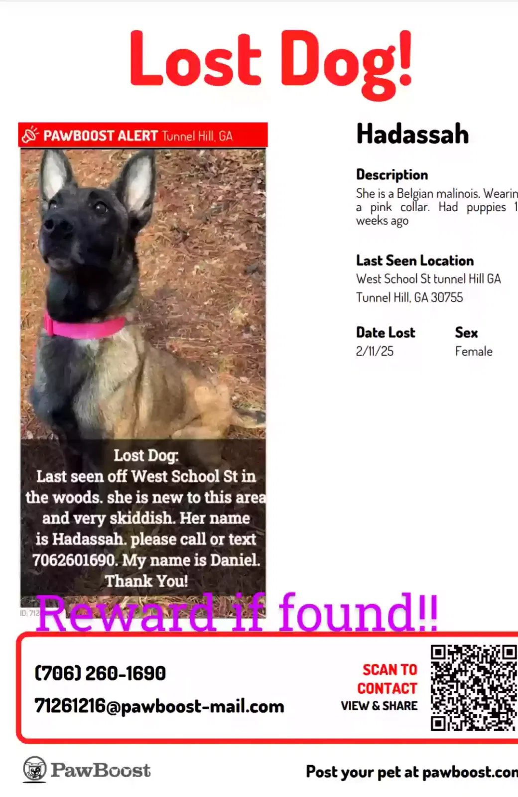 Lost dog in Tunnel Hill, GA, 30755
