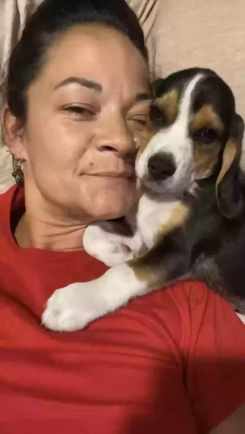 Lost dog in Arcadia, FL, 34269