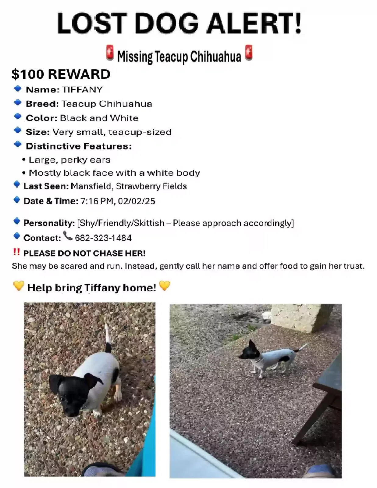 Lost dog in Mansfield, TX, 76063