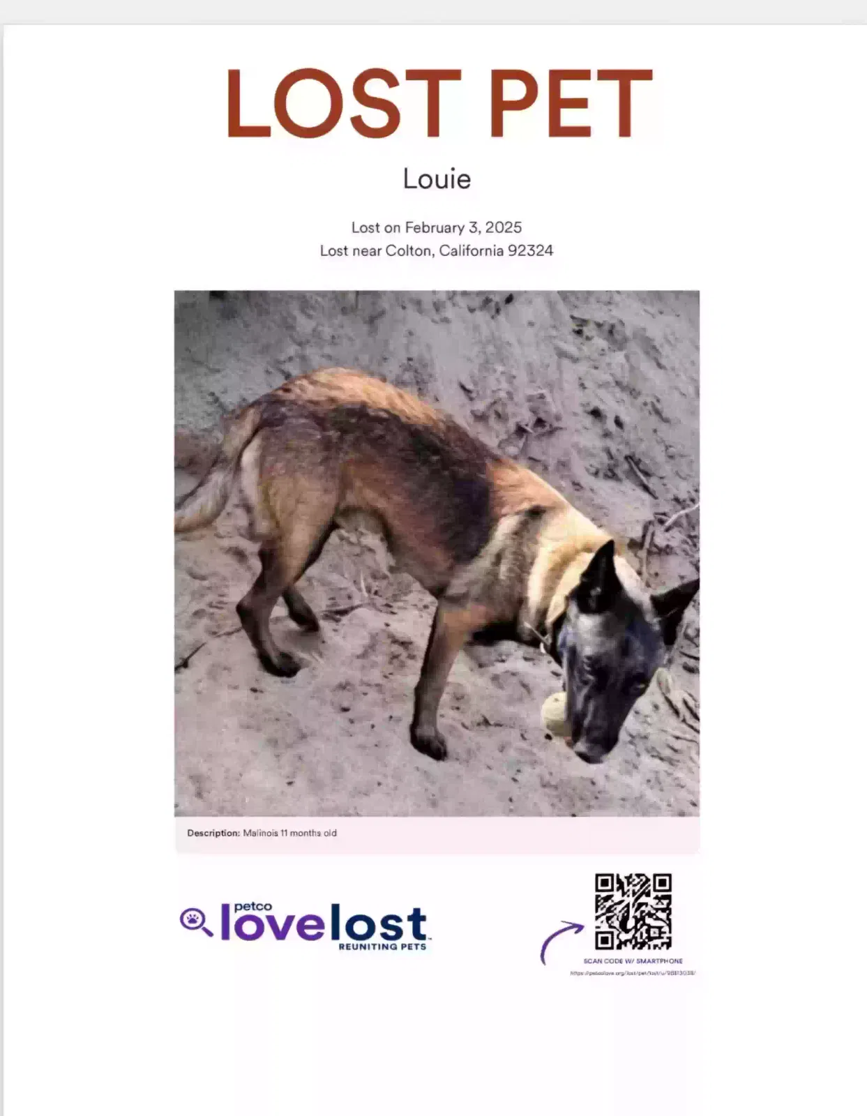 Lost dog in Colton, CA, 92324