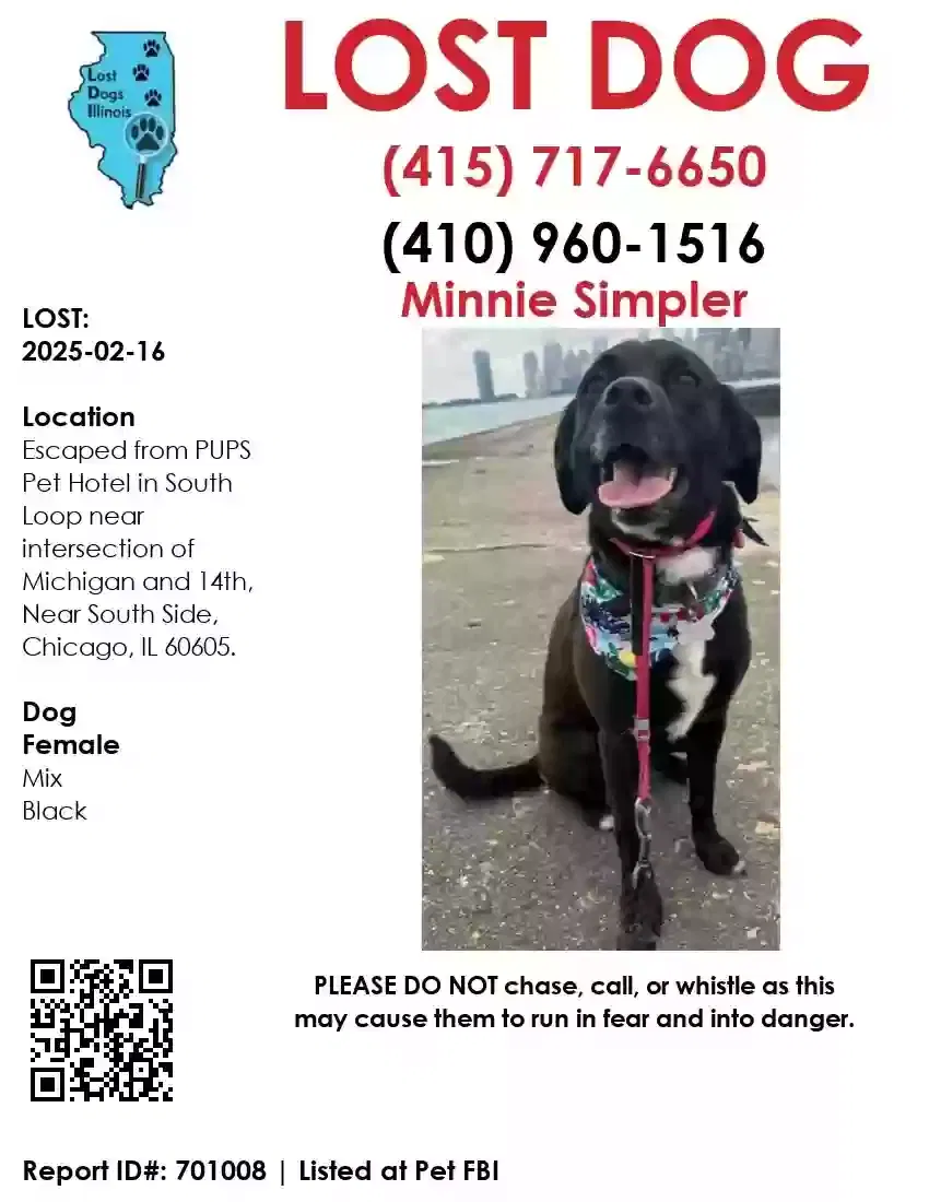 Lost dog in Chicago, IL, 60605
