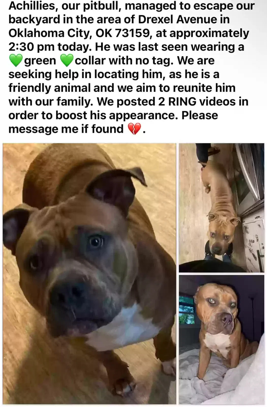 Lost dog in Oklahoma City, OK, 73159