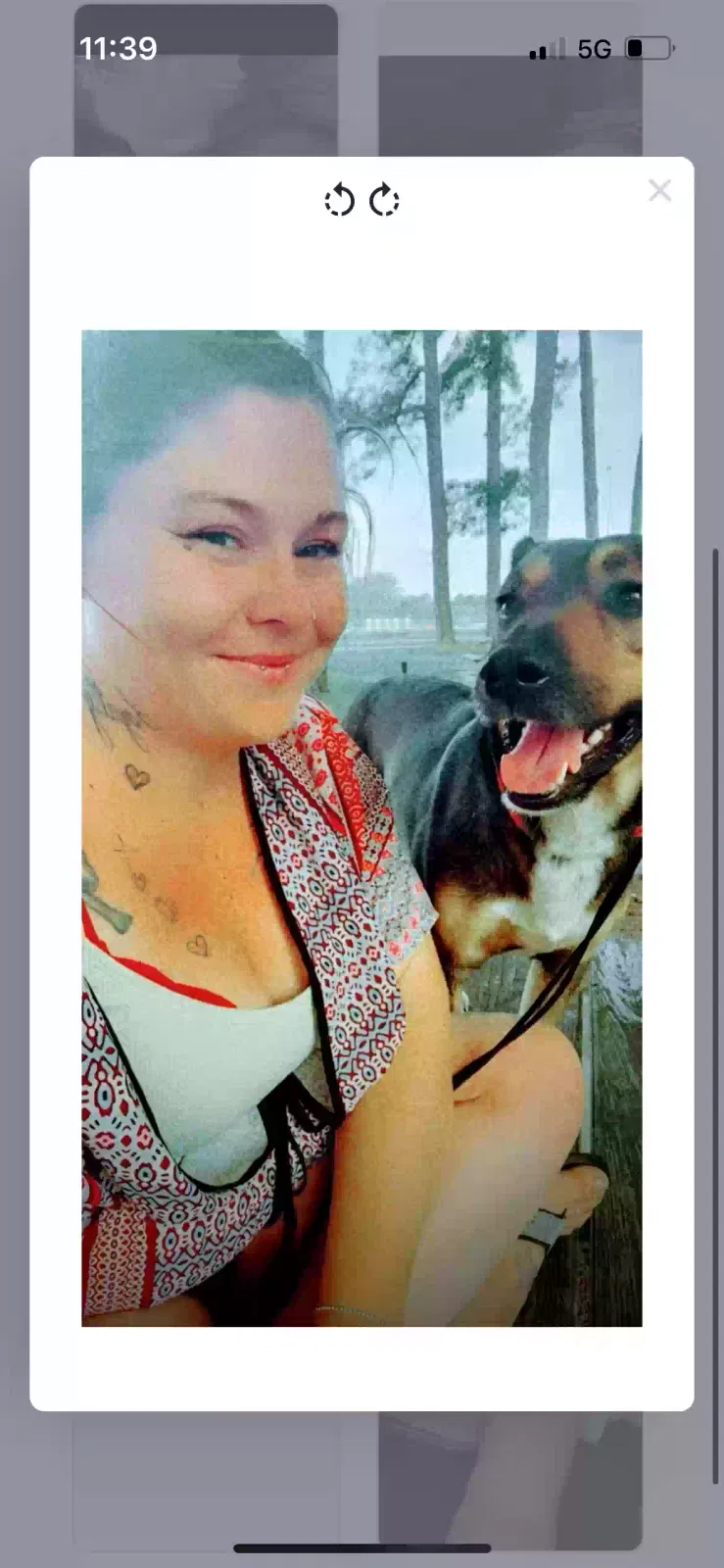 Lost dog in Coldspring, TX, 77331