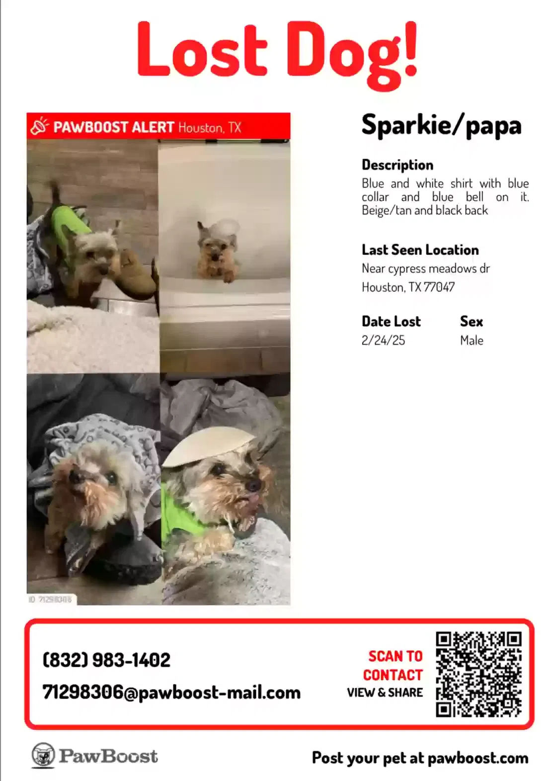 Lost dog in Houston, TX, 77047