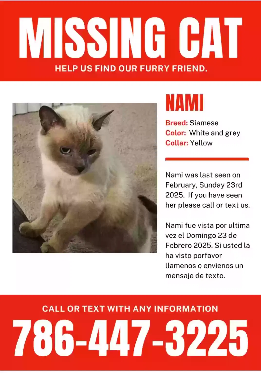 Lost cat in Saint Cloud, FL, 34771