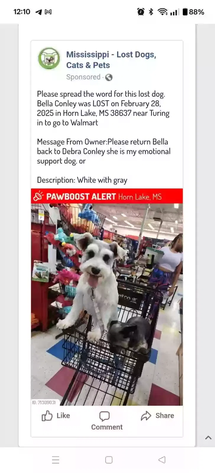 Lost dog in Horn Lake, MS, 38637