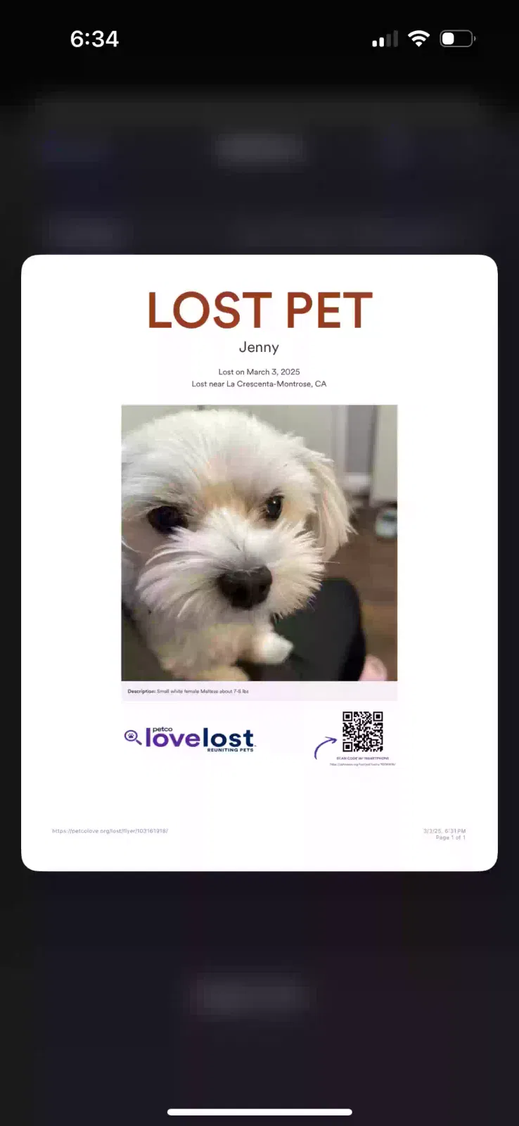 Lost dog in Montrose, CA, 91020