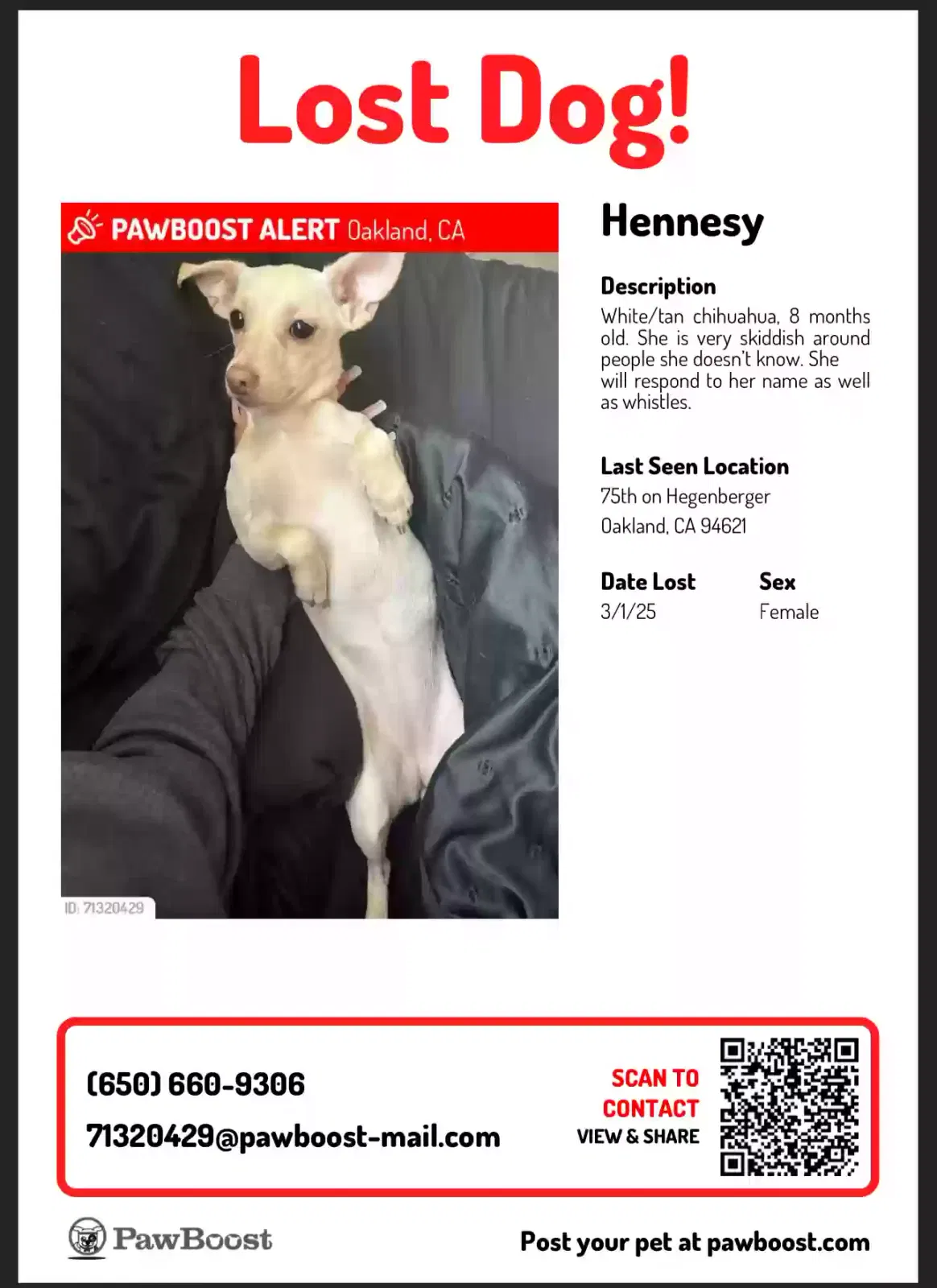 Lost dog in Oakland, CA, 94605