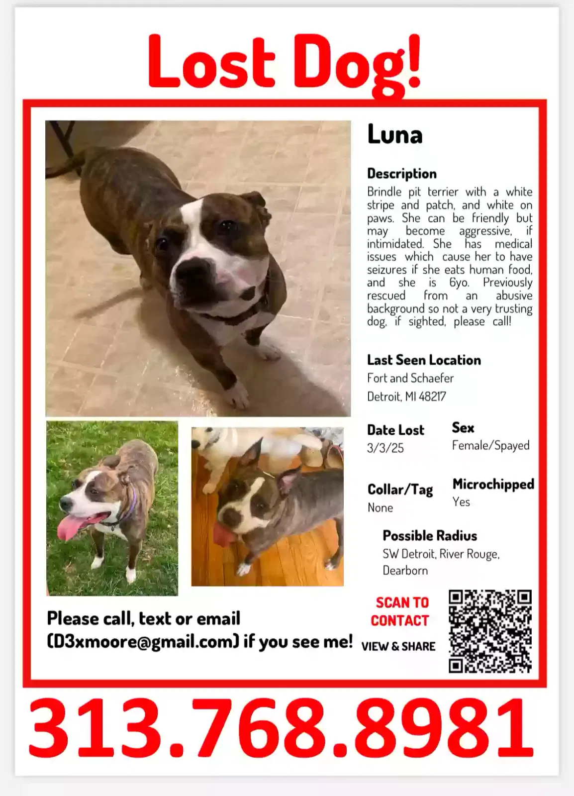 Lost dog in Detroit, MI, 48217