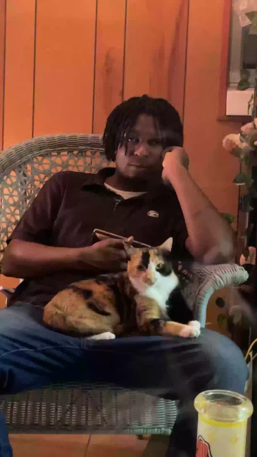 Lost cat in Dade City, FL, 33525