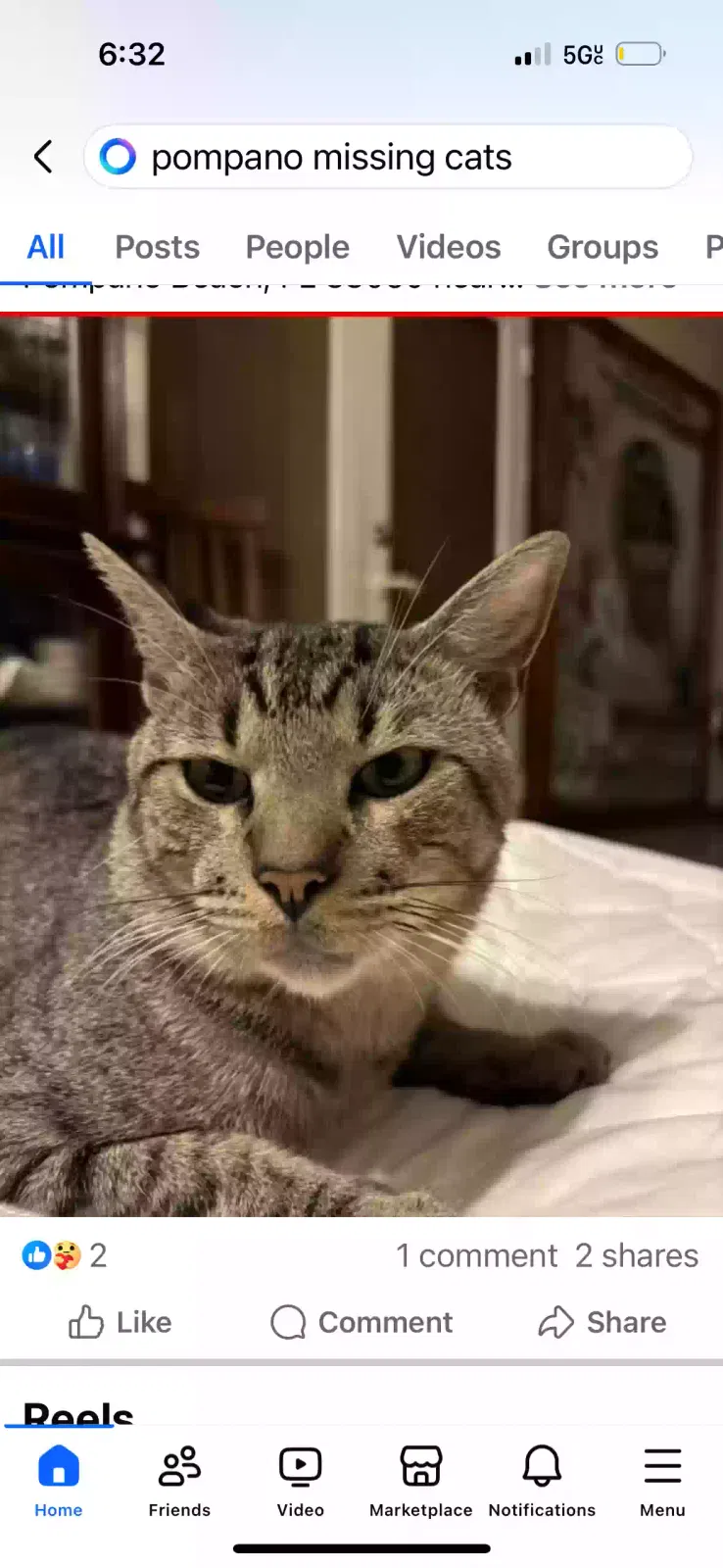 Lost cat in Pompano Beach, FL, 33060