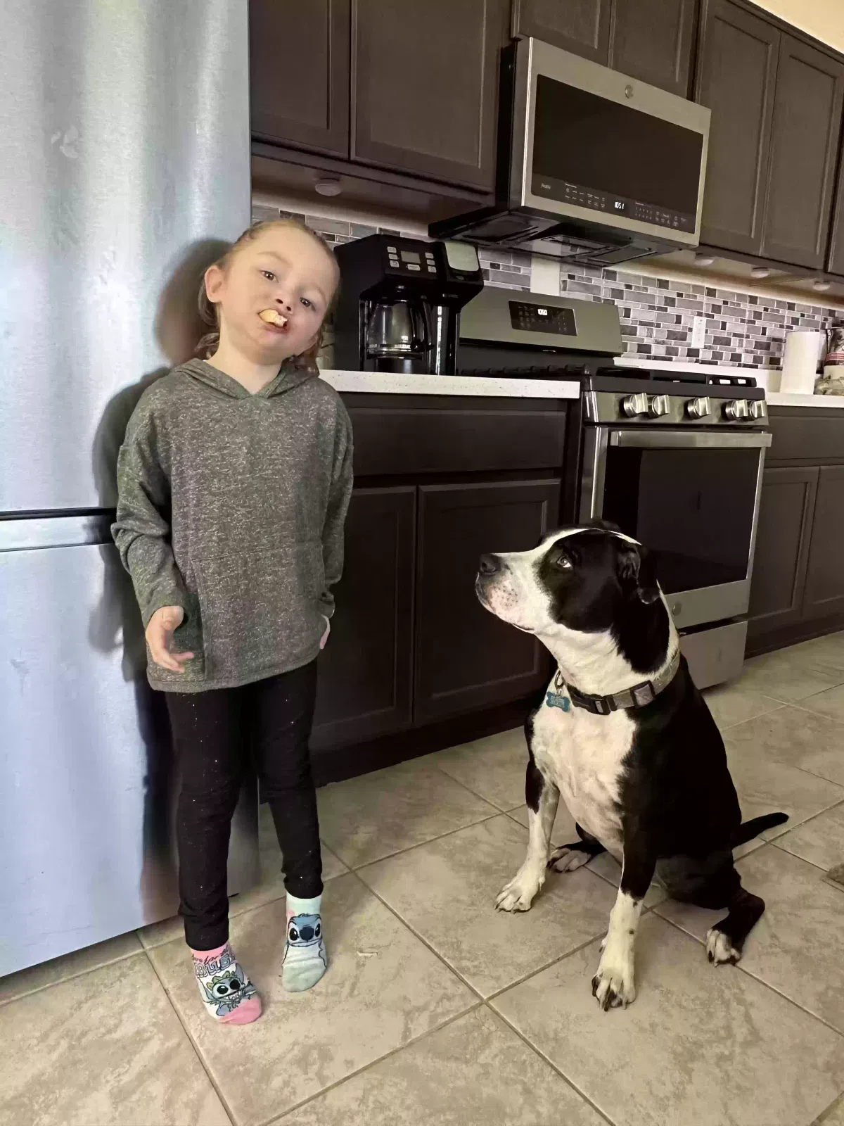 Lost dog in Surprise, AZ, 85387