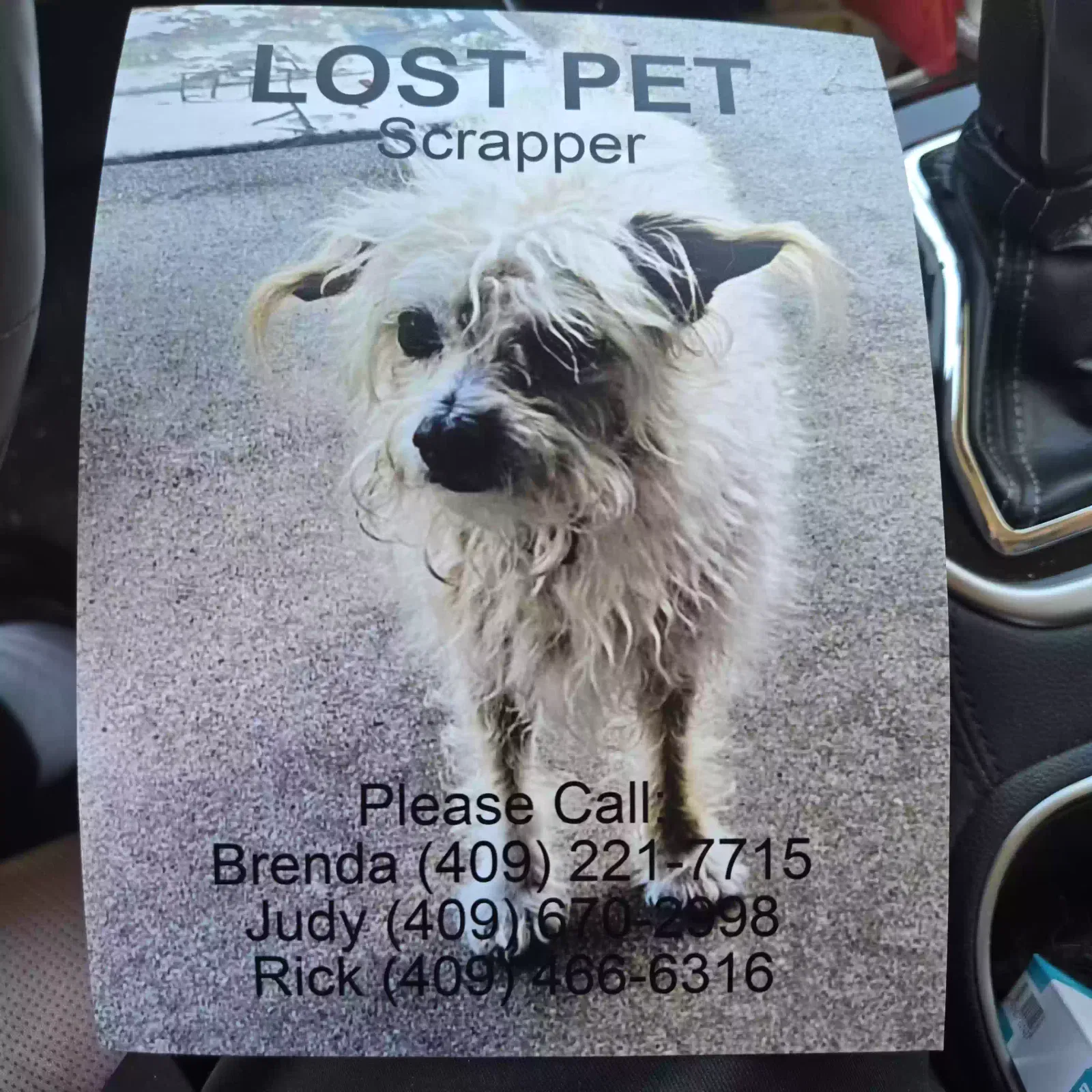 Lost dog in Orange, TX, 77632