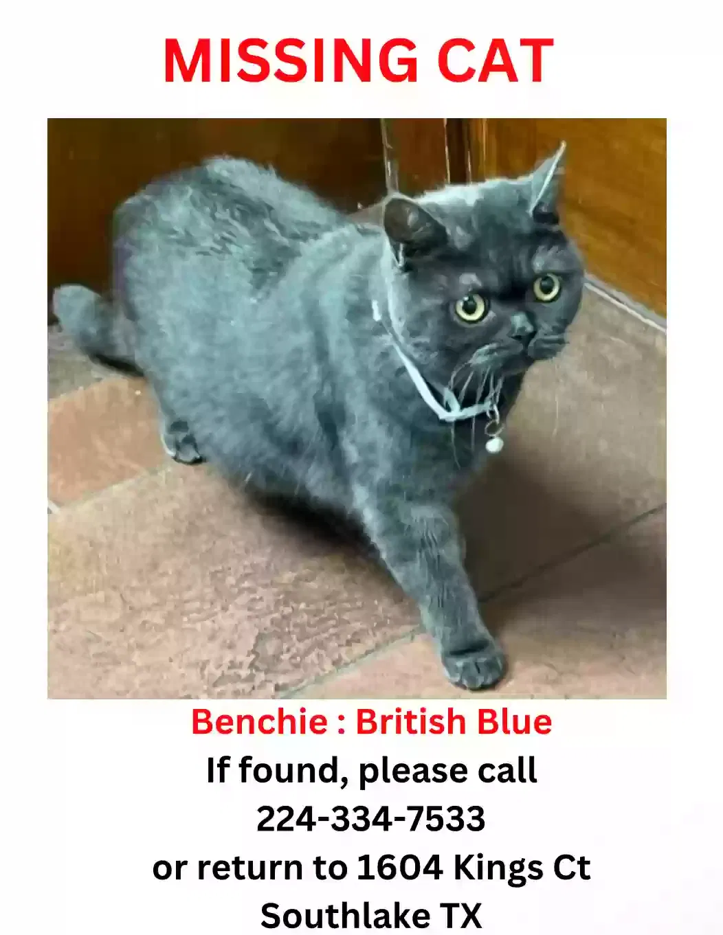 Lost cat in Southlake, TX, 76092