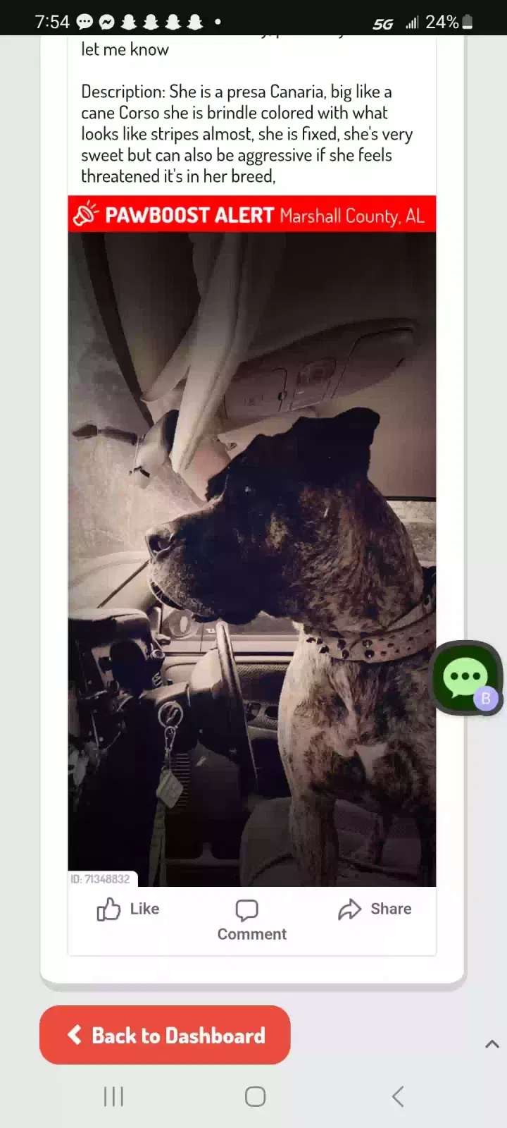 Lost dog in Union Grove, AL, 35175