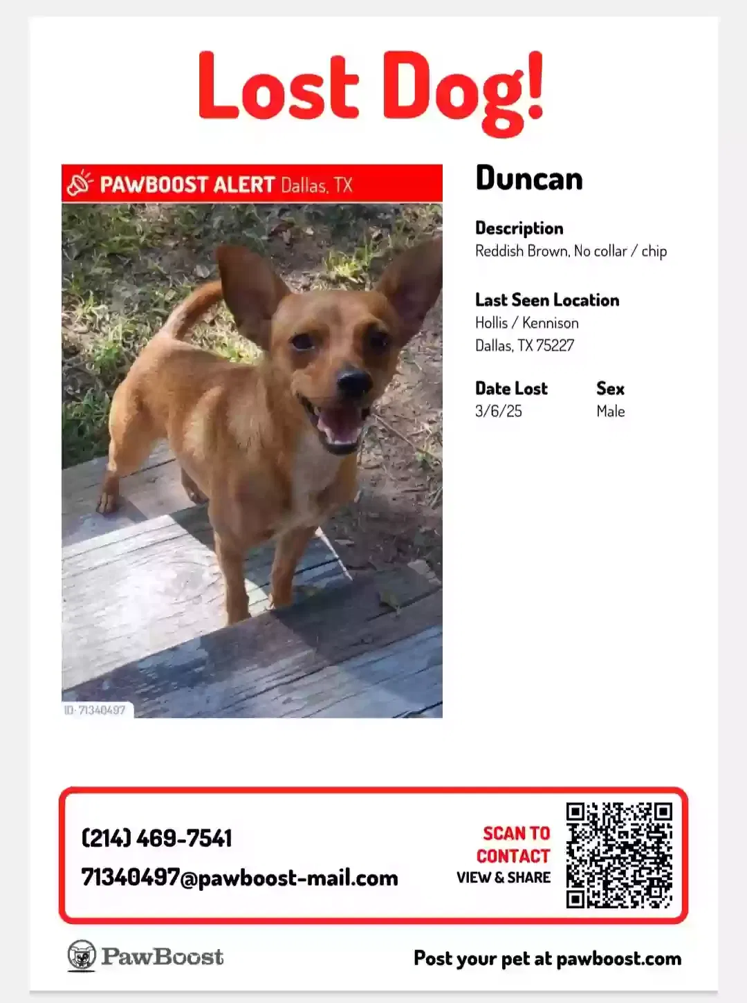 Lost dog in Dallas, TX, 75227