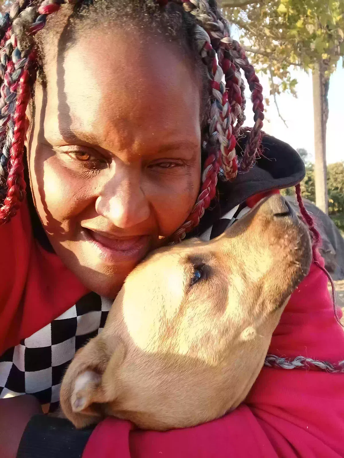 Lost dog in San Bernardino, CA, 92408