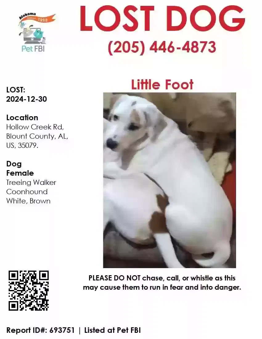 Lost dog in Hayden, AL, 35079