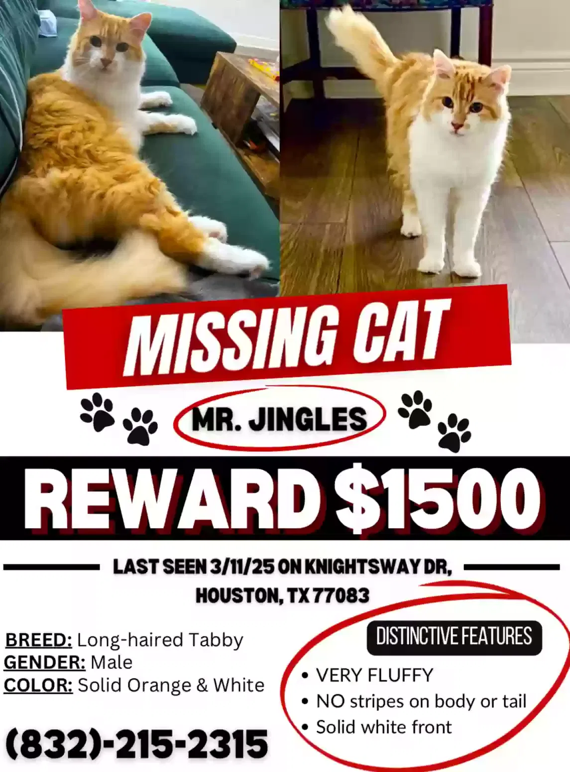Lost cat in Houston, TX, 77083