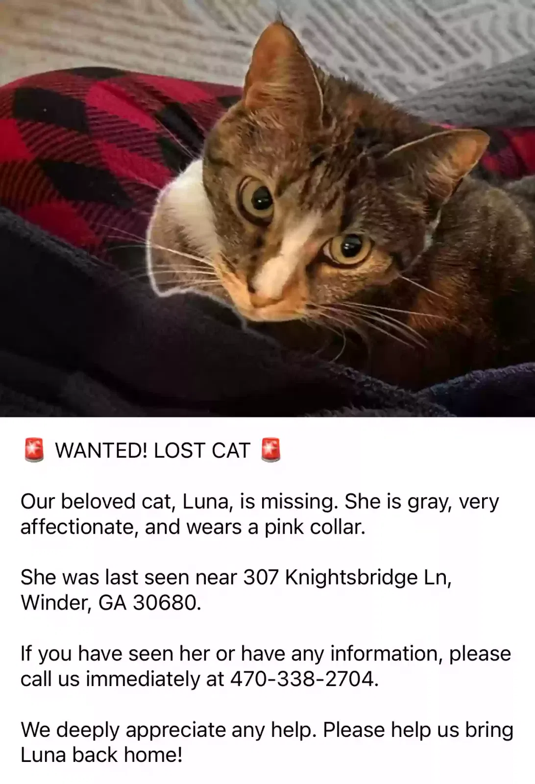 Lost cat in Winder, GA, 30680