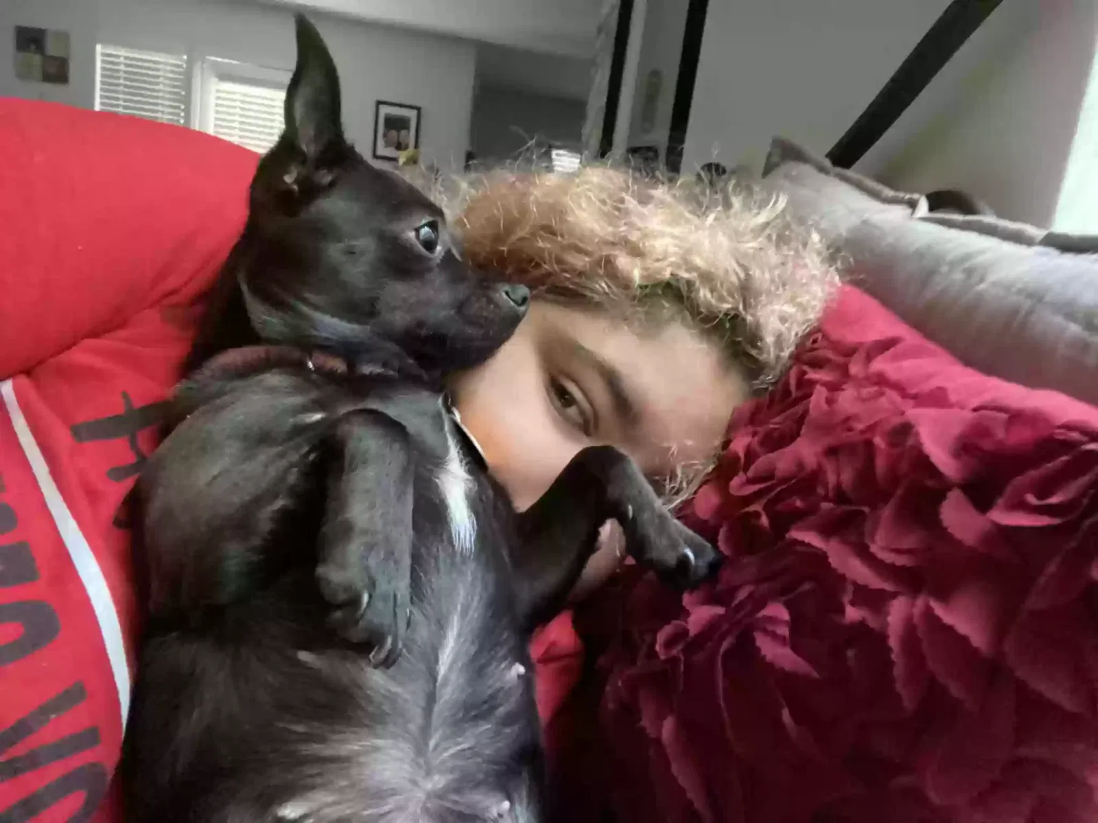 Lost dog in North Richland Hills, TX, 76180
