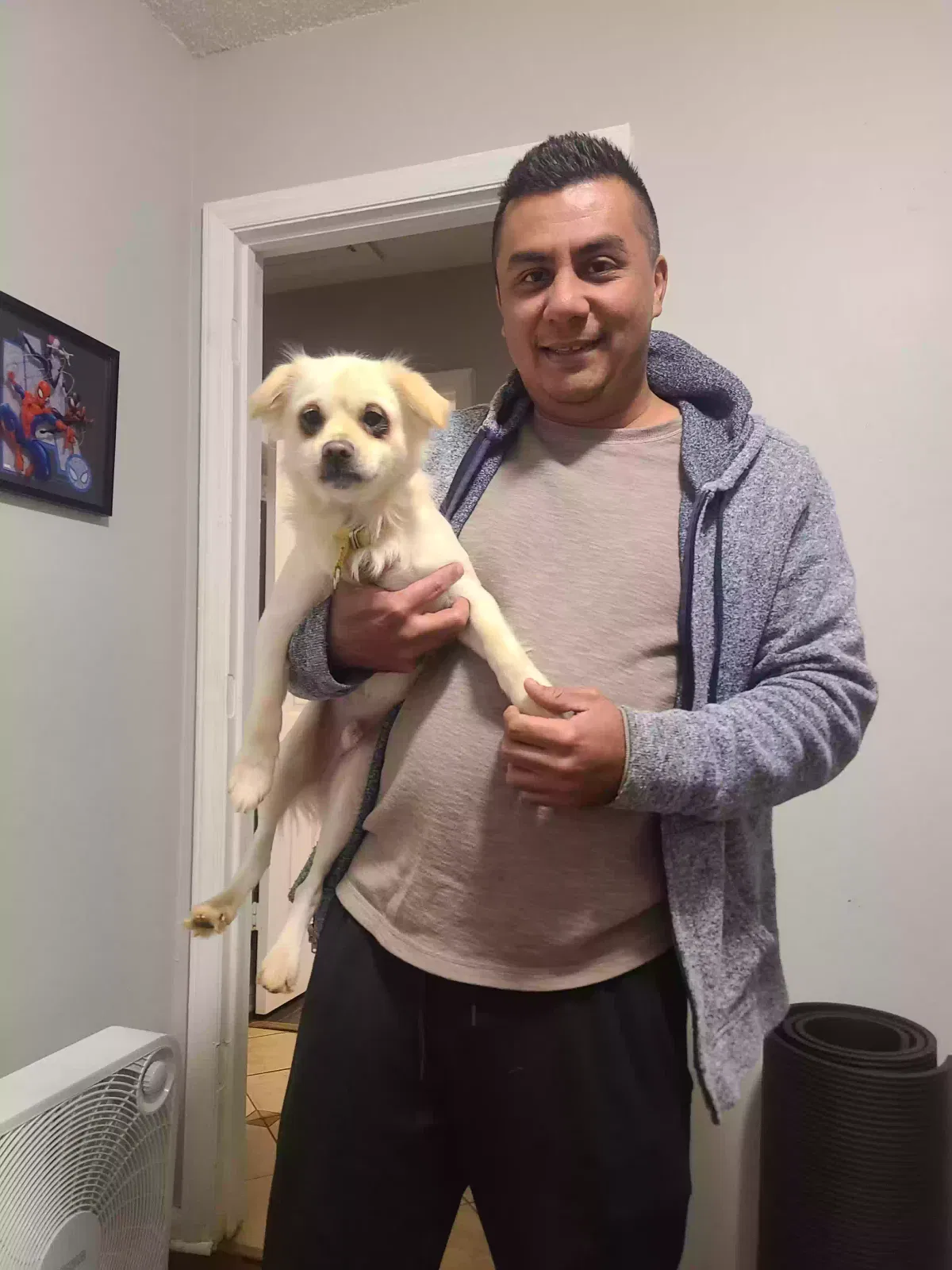 Lost dog in Charlotte, NC, 28227