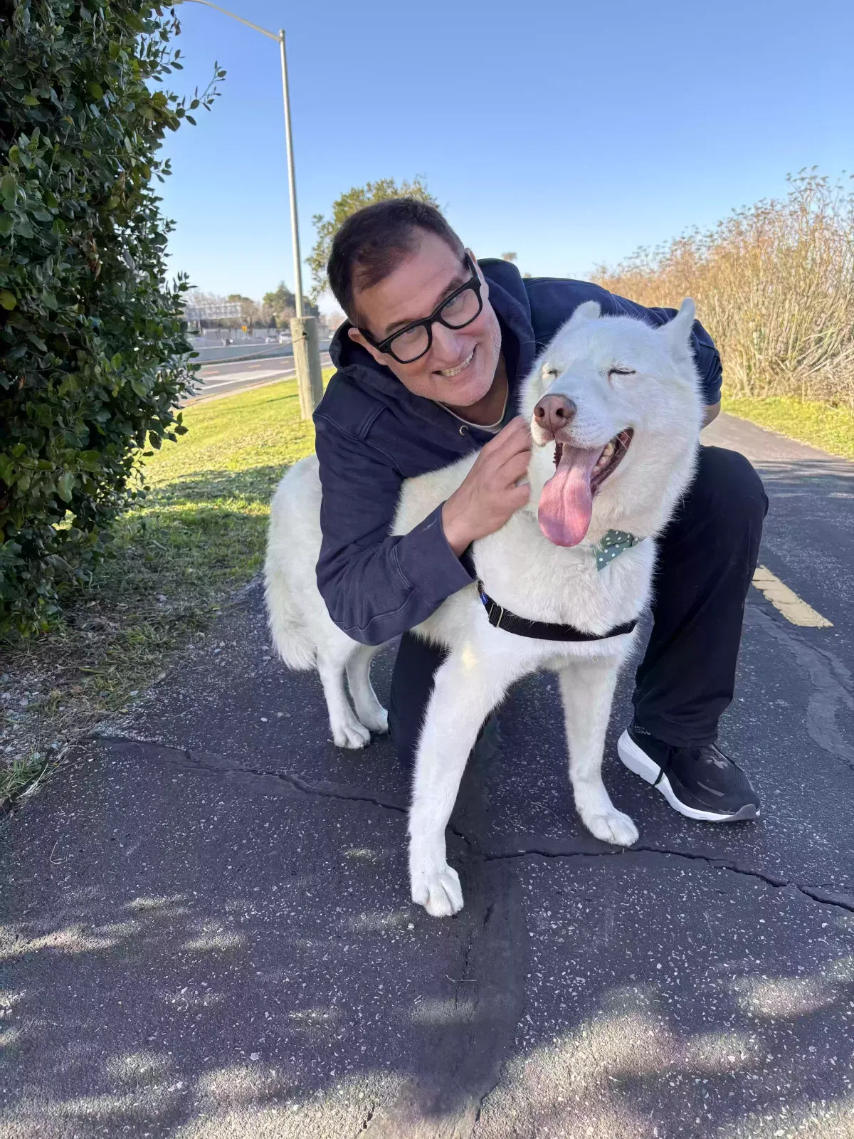 Found dog in Palo Alto, CA, 94303