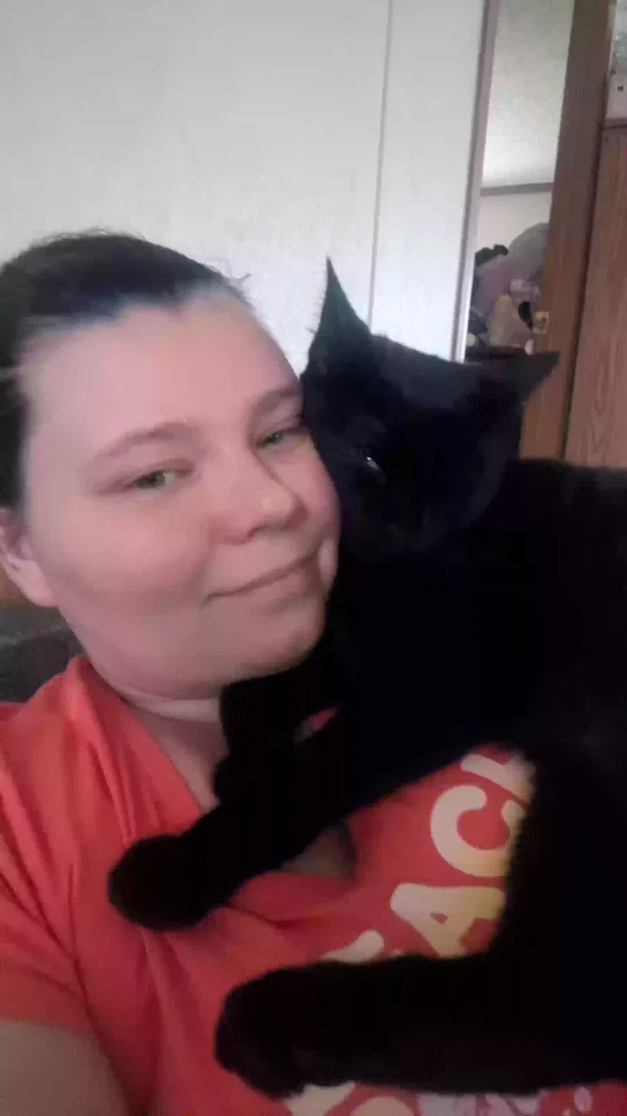 Lost cat in Randleman, NC, 27317